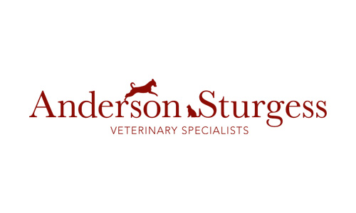 Anderson Sturgess: Logo Design